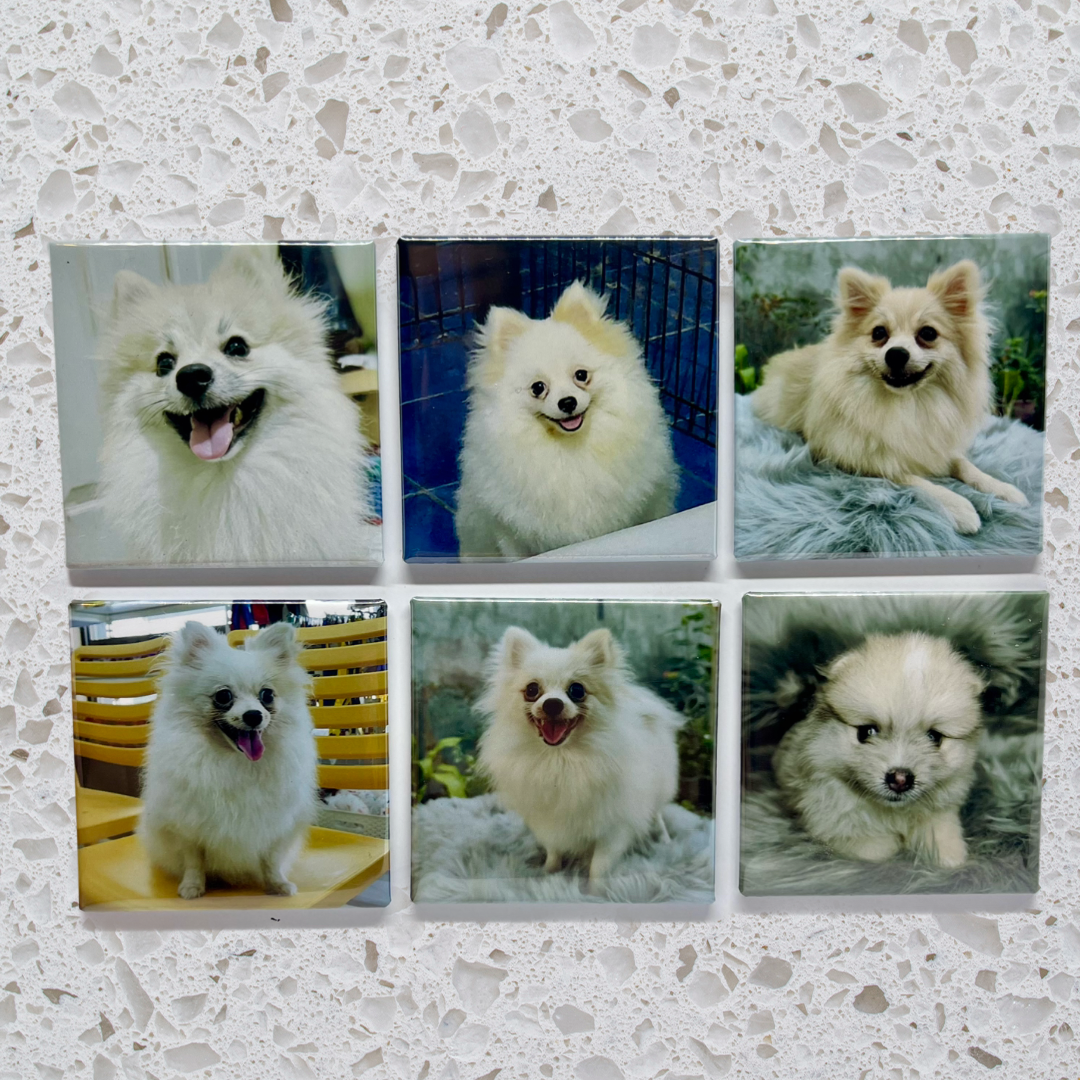 Photo Magnet Gift Card